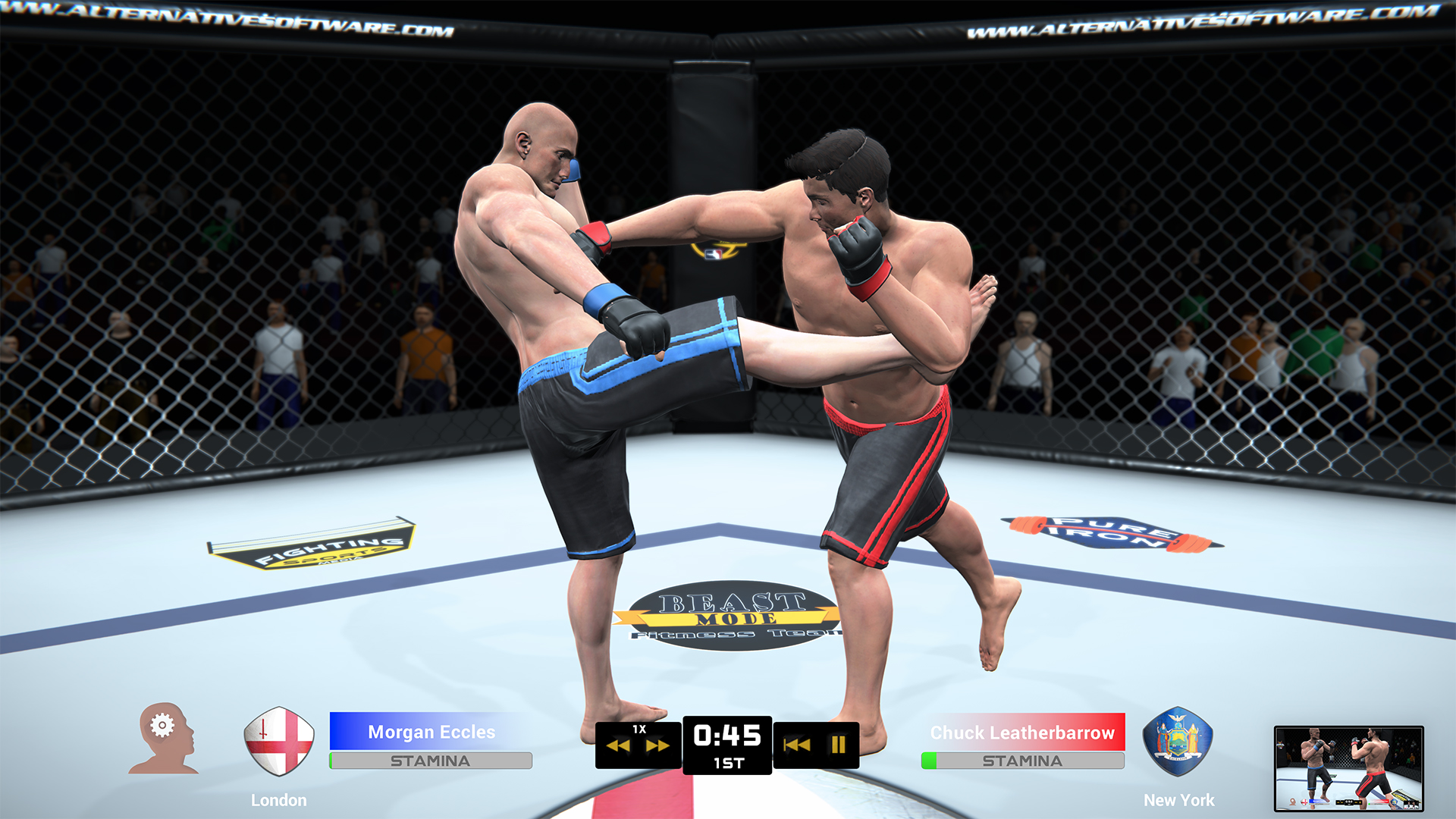 MMA Team Manager screenshot 15