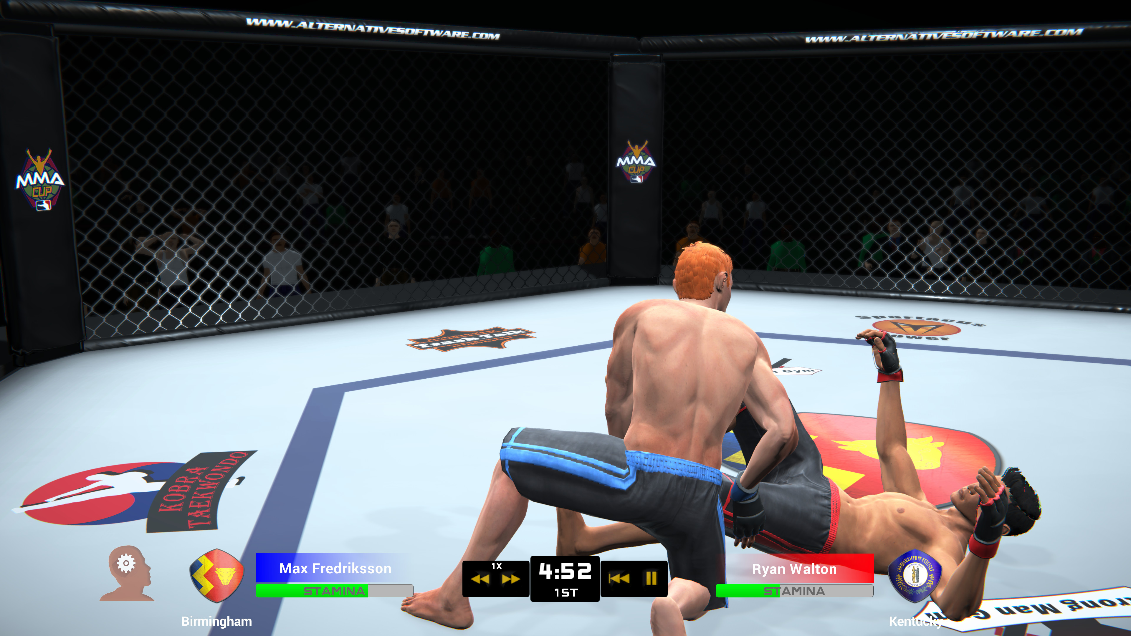 MMA Team Manager screenshot 6