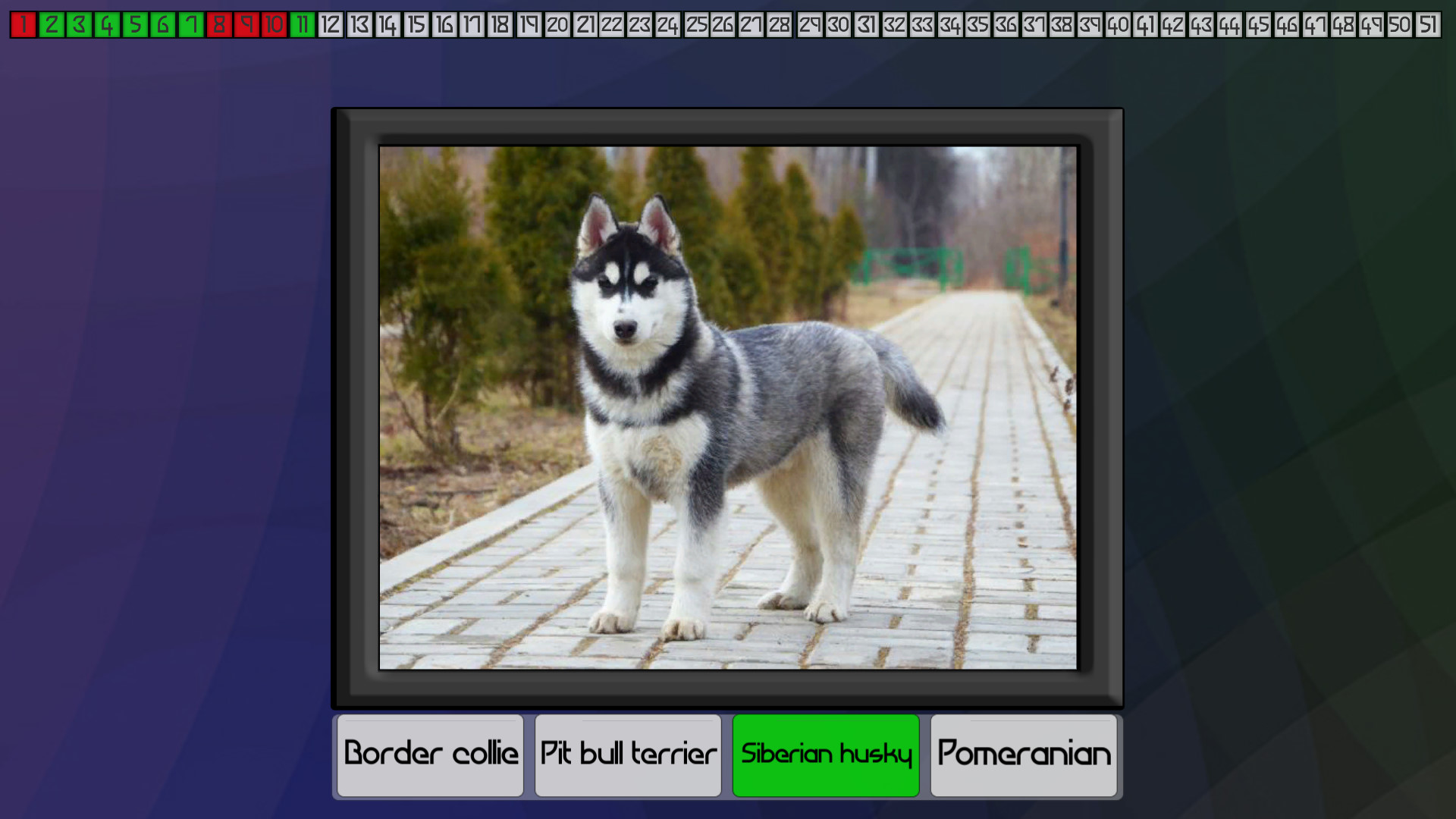 Test your knowledge: Dogs screenshot 2