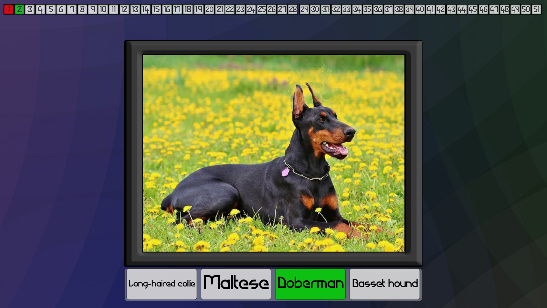 Test your knowledge: Dogs screenshot 5