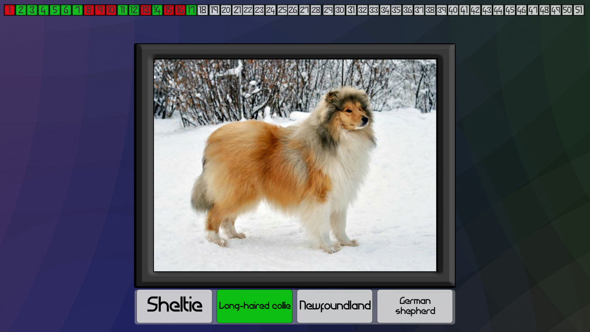 Test your knowledge: Dogs screenshot 4