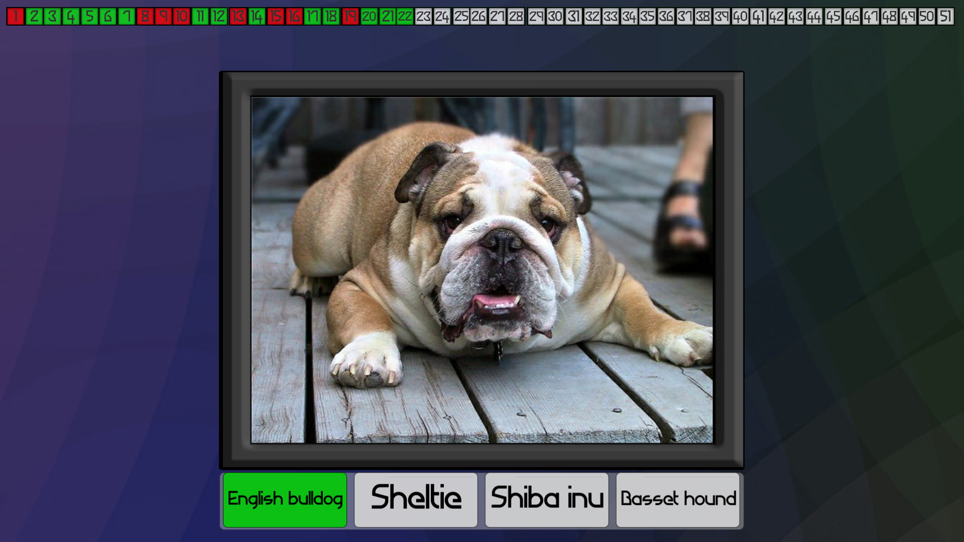 Test your knowledge: Dogs screenshot 1