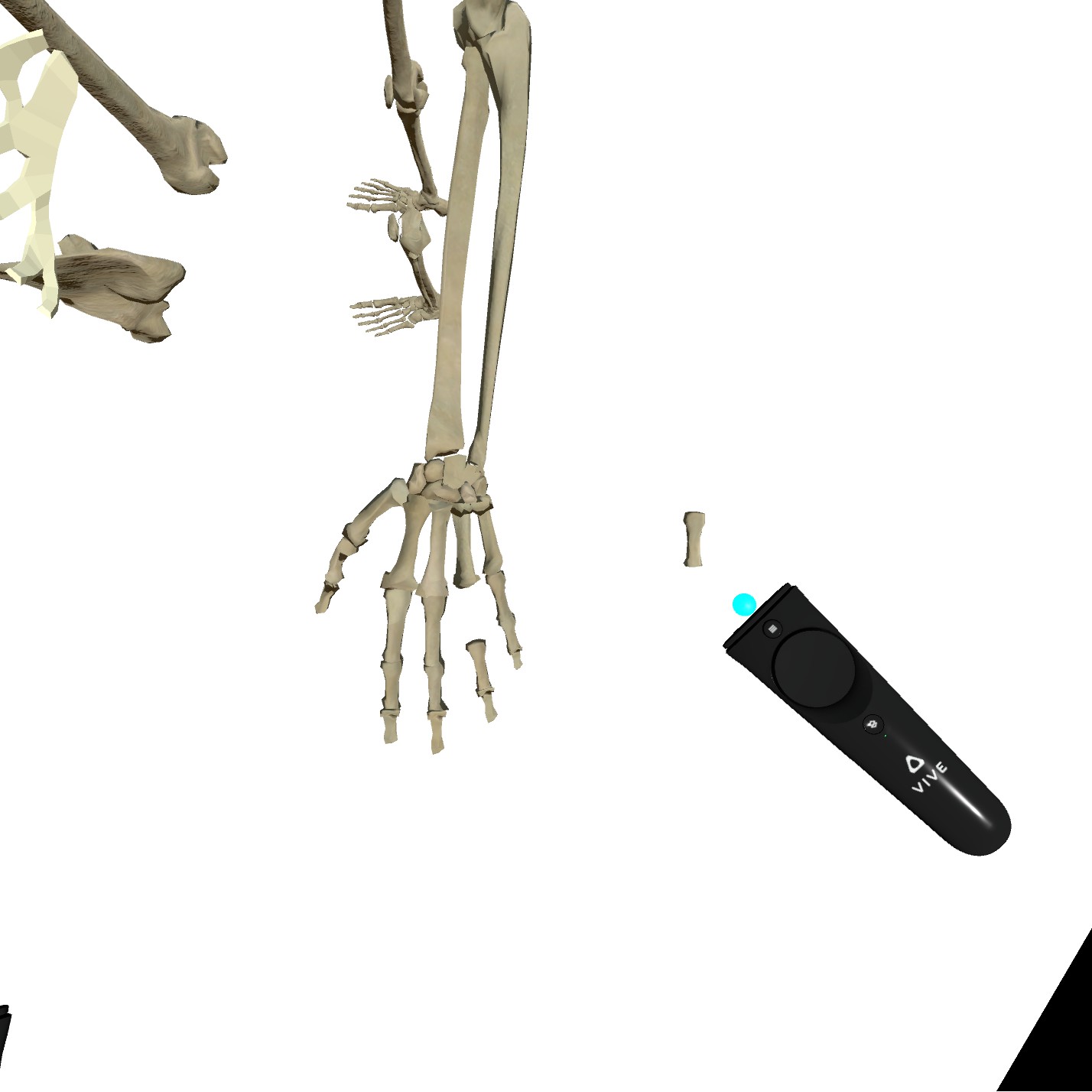 VR Anatomy screenshot 2