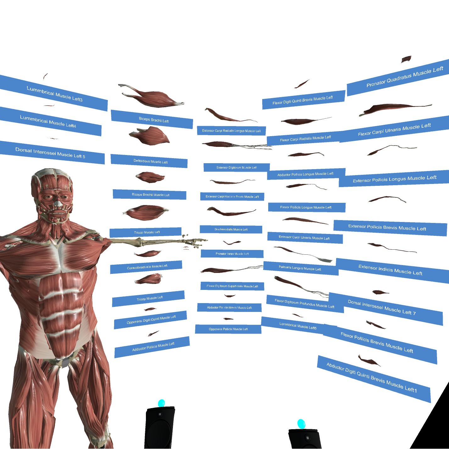 VR Anatomy screenshot 7