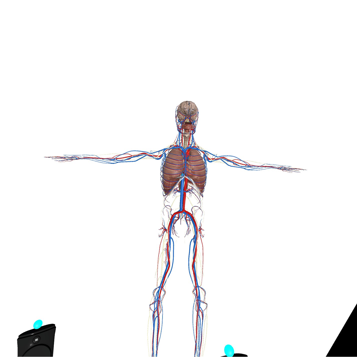 VR Anatomy screenshot 4