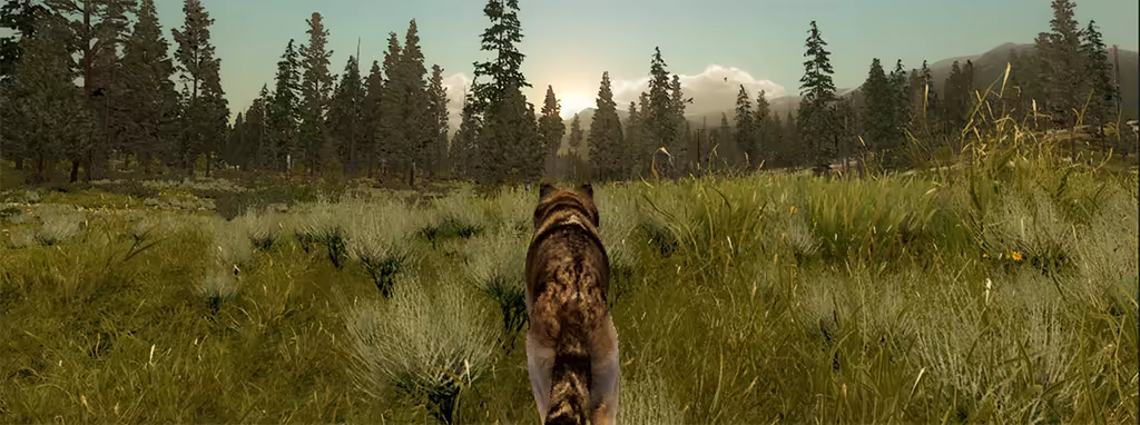 WolfQuest: Anniversary Edition