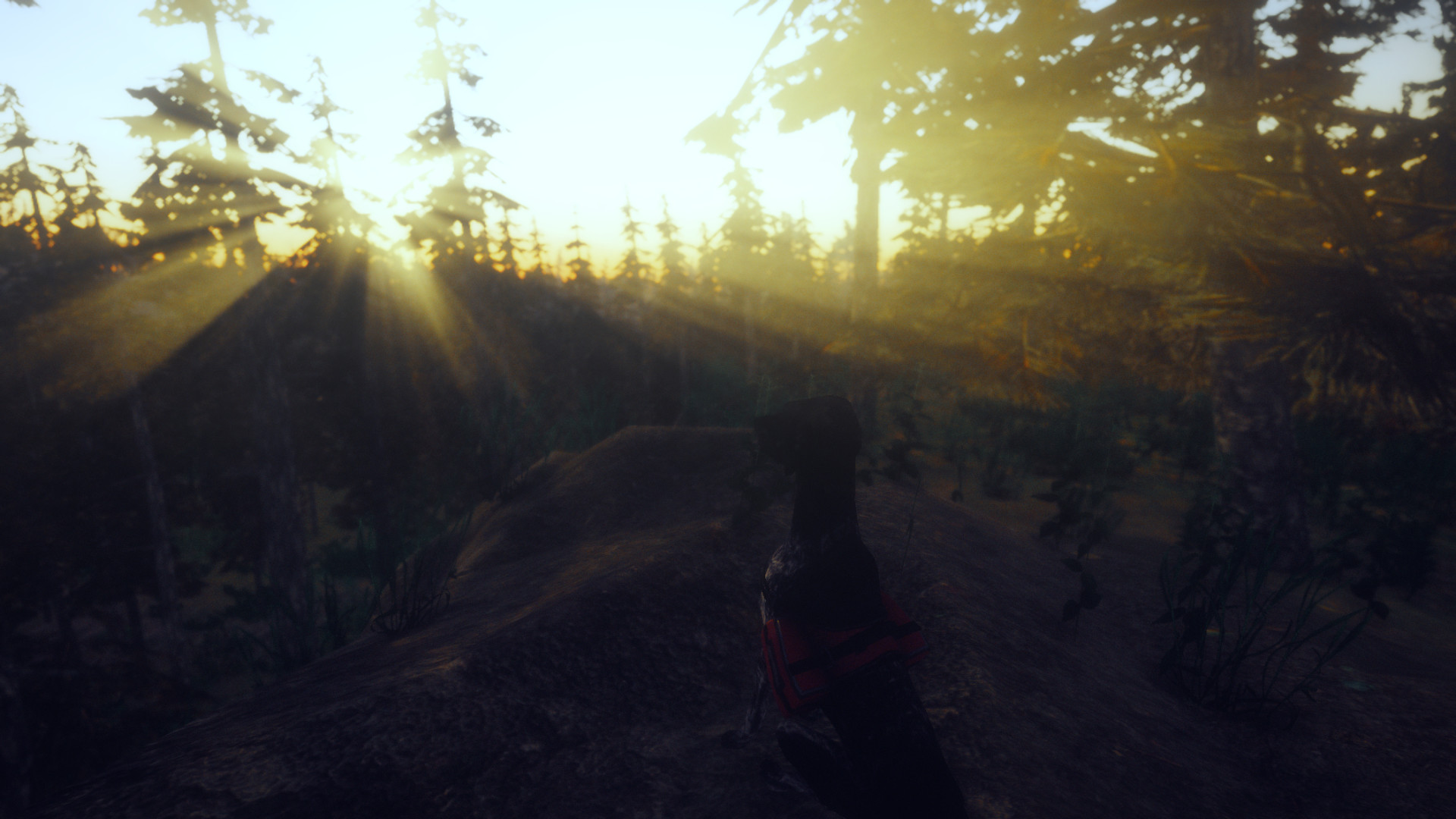 MÅRD screenshot 6