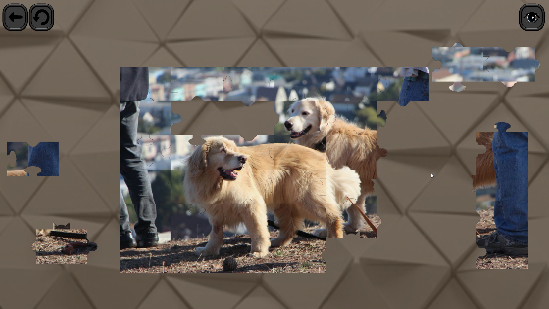 Puzzles for smart: Dogs screenshot 5