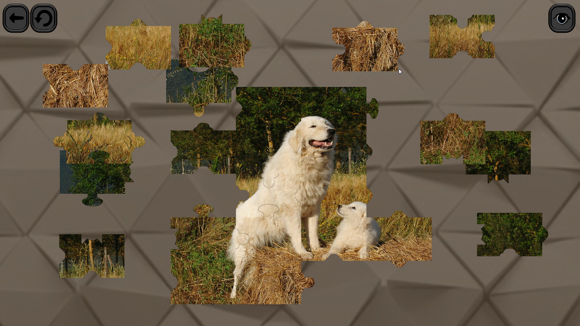 Puzzles for smart: Dogs screenshot 3