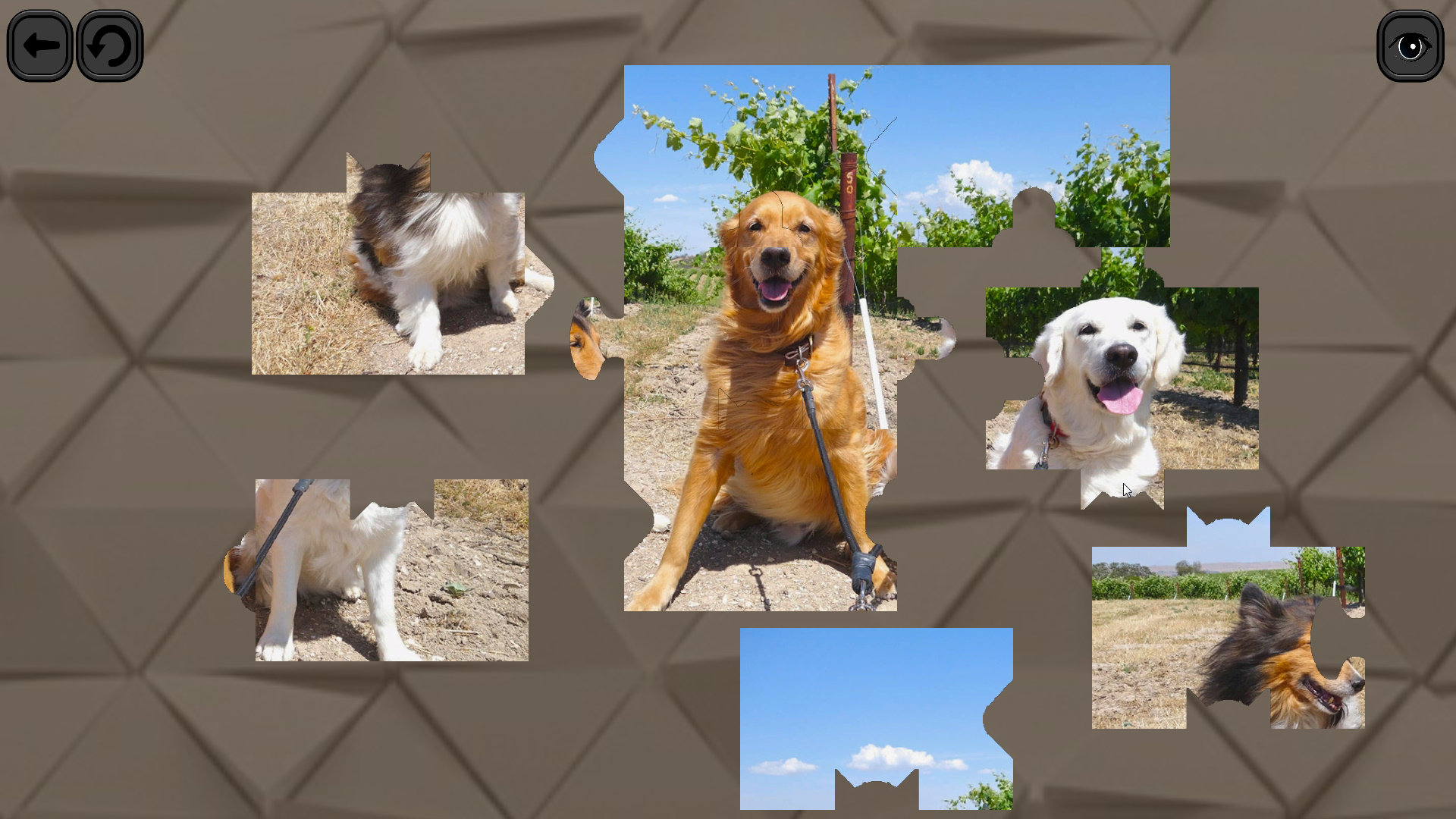 Puzzles for smart: Dogs screenshot 1