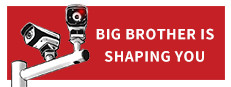 Big Brother Is Shaping You