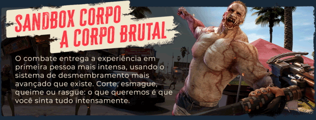 Multiplayer Cooperativo