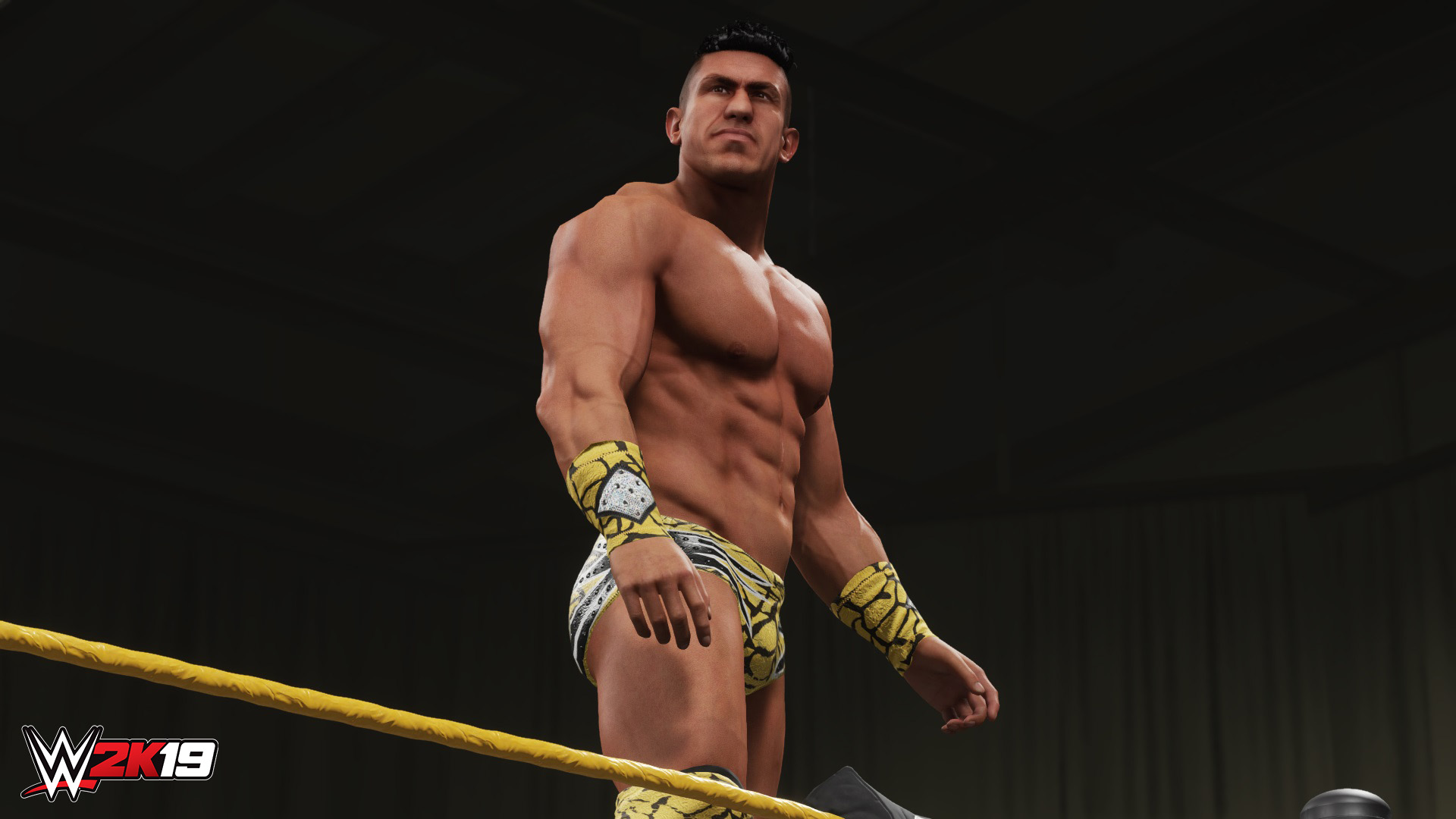 WWE 2K19 - Titans Pack screenshot 1