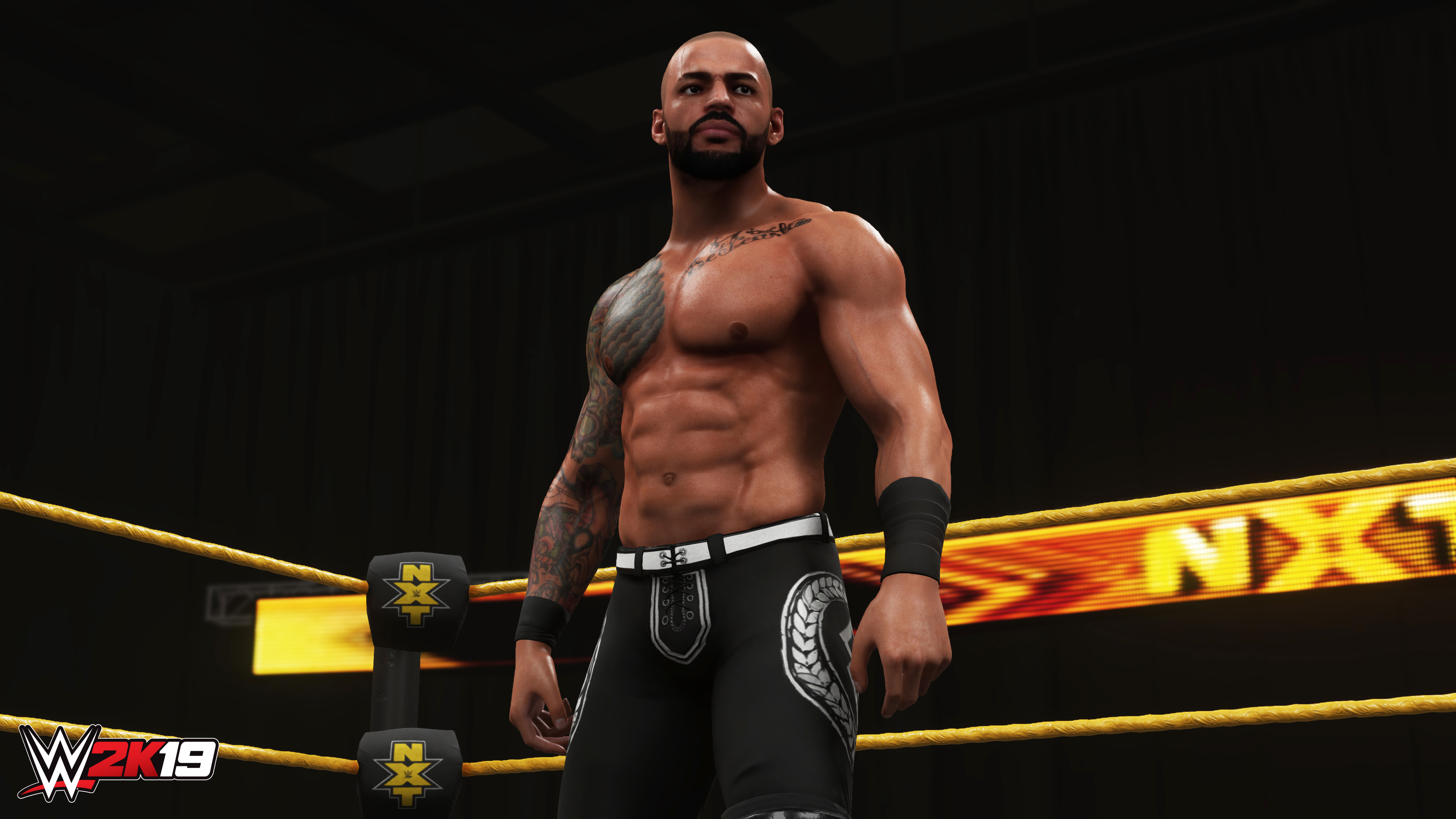 WWE 2K19 - Rising Stars Pack screenshot 1