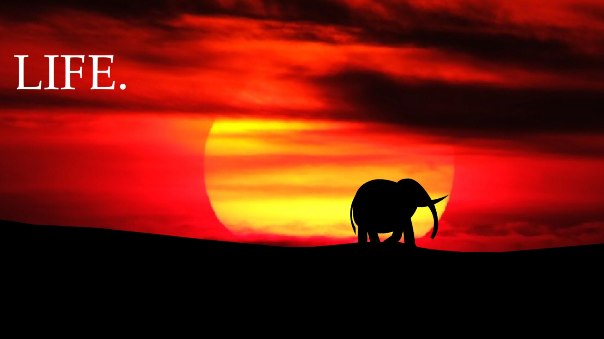 Elephant Rave 2 screenshot 8