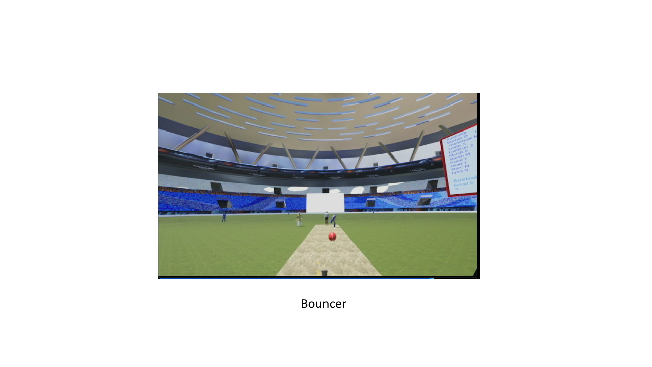 VR Cricket screenshot 14