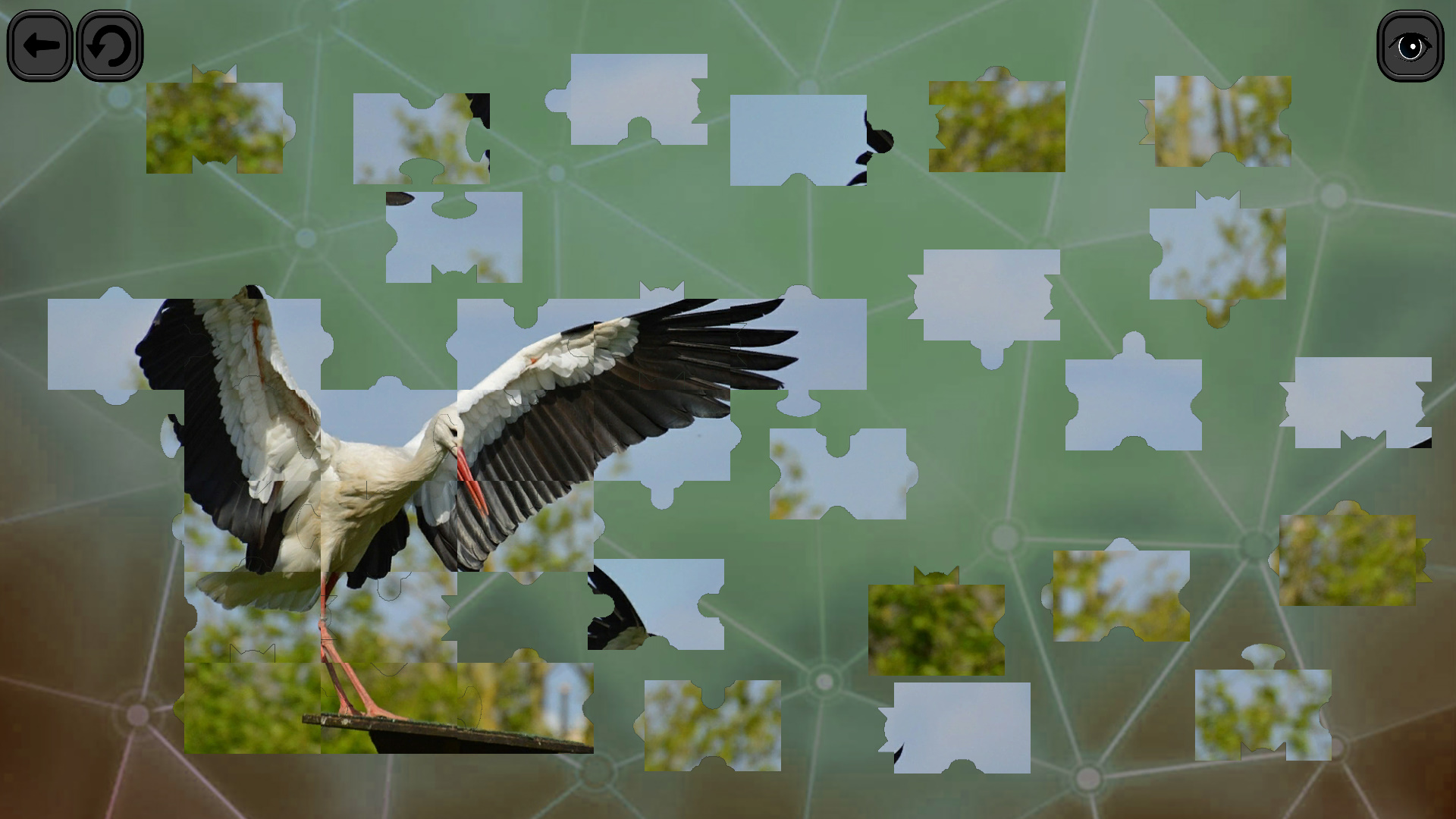 Puzzles for smart: Birds screenshot 7