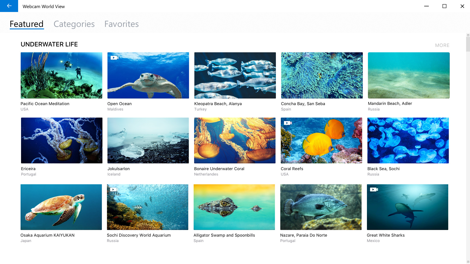 Webcam World View screenshot 5