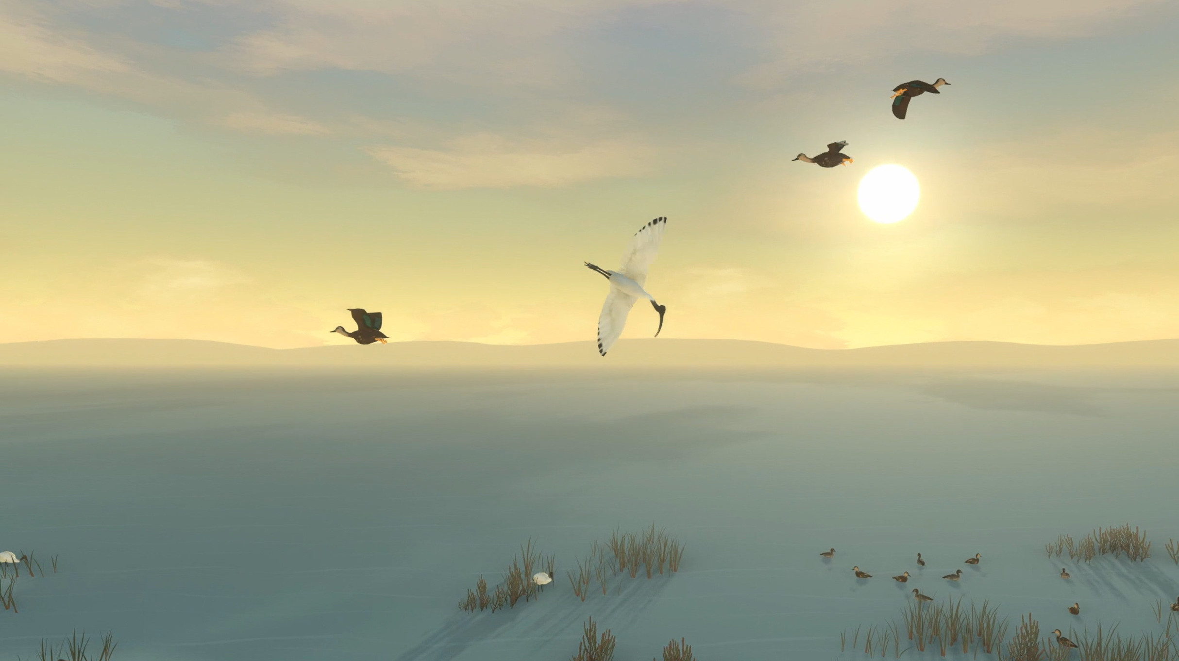 Storm Boy screenshot 4