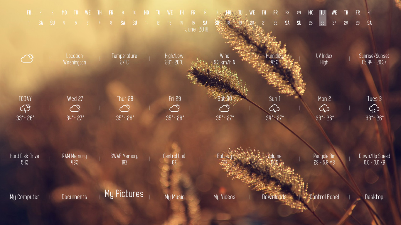 XWidget screenshot 22