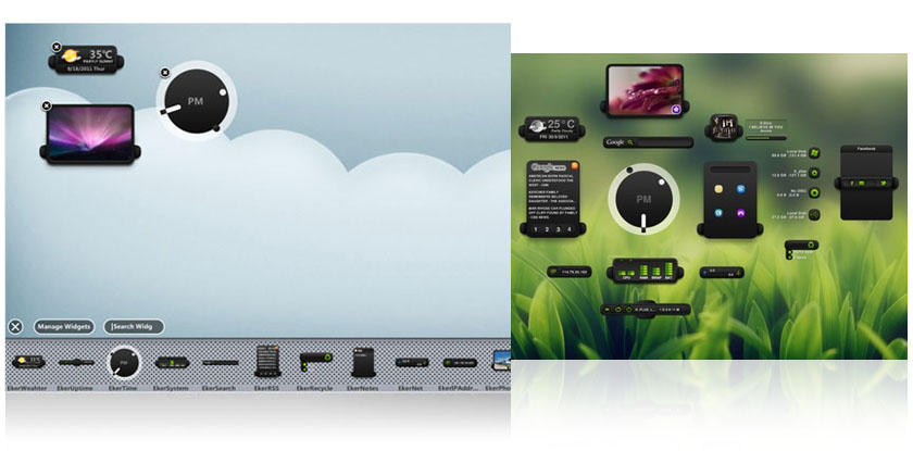 XWidget screenshot 6