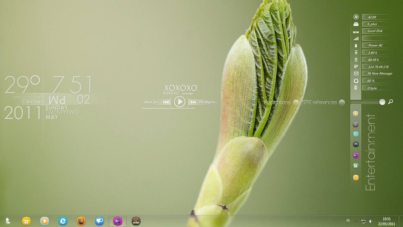 XWidget screenshot 16