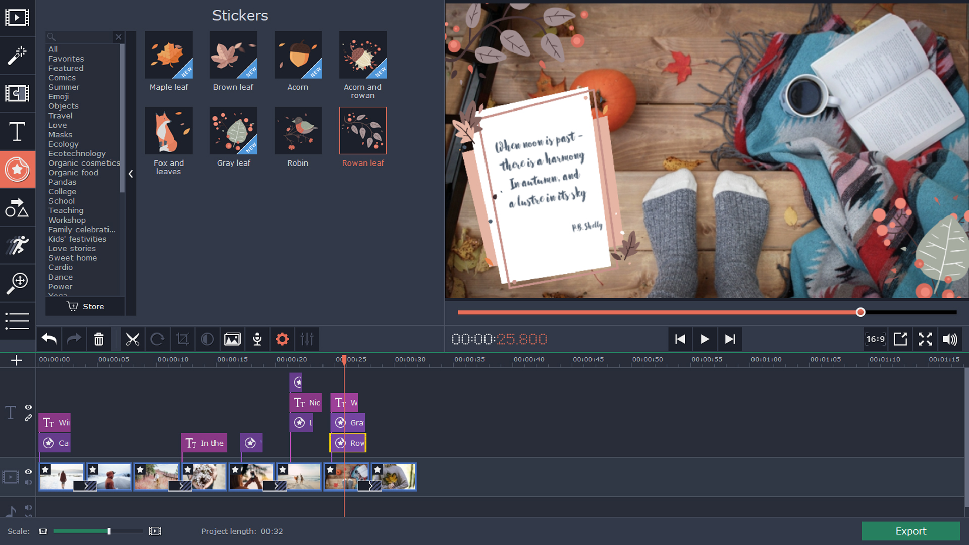 Movavi Video Editor 15 Plus - Seasons Set screenshot 5
