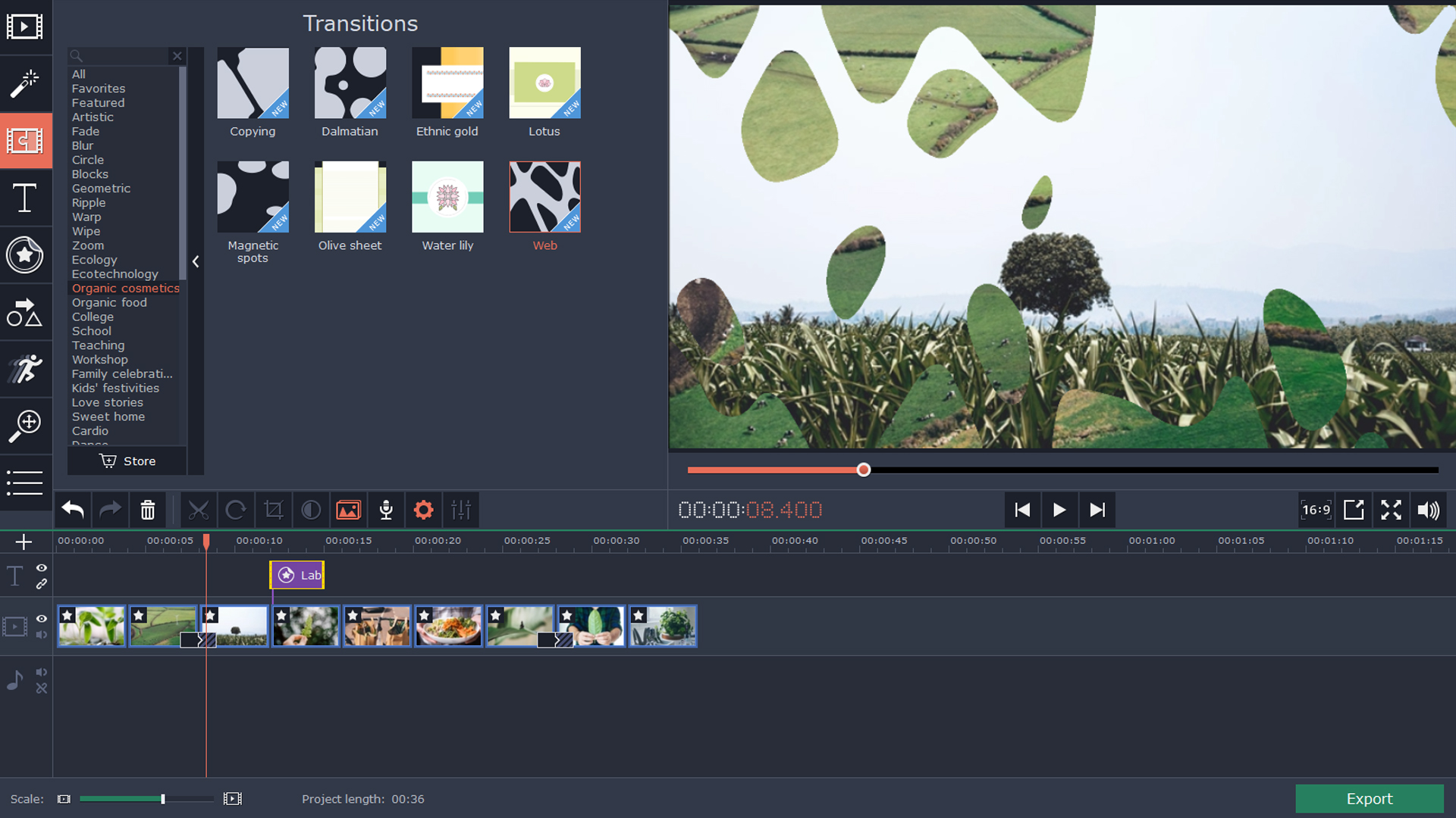 Movavi Video Editor 15 Plus - Eco Set screenshot 1