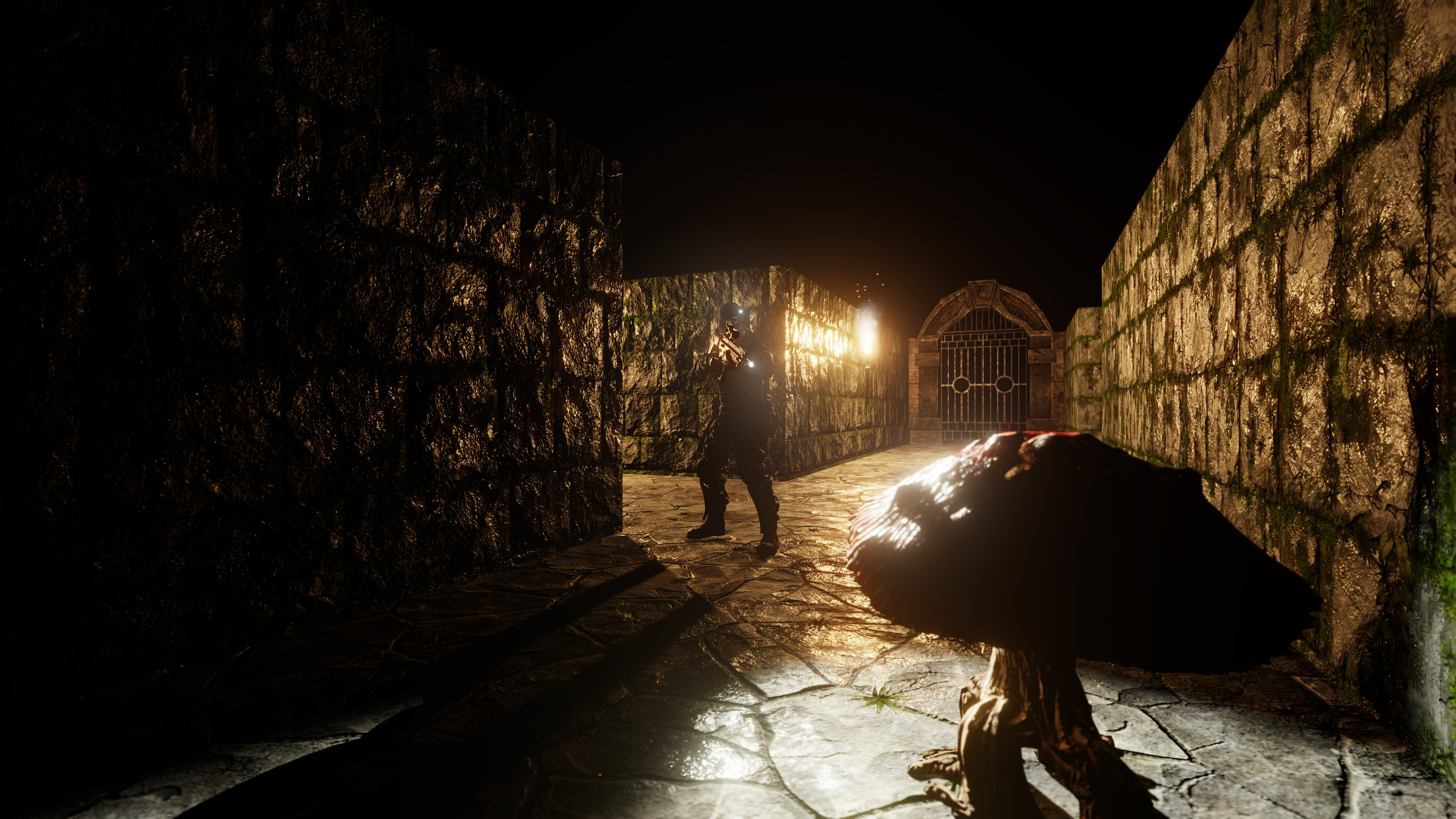 The Dungeon Paradox screenshot 13