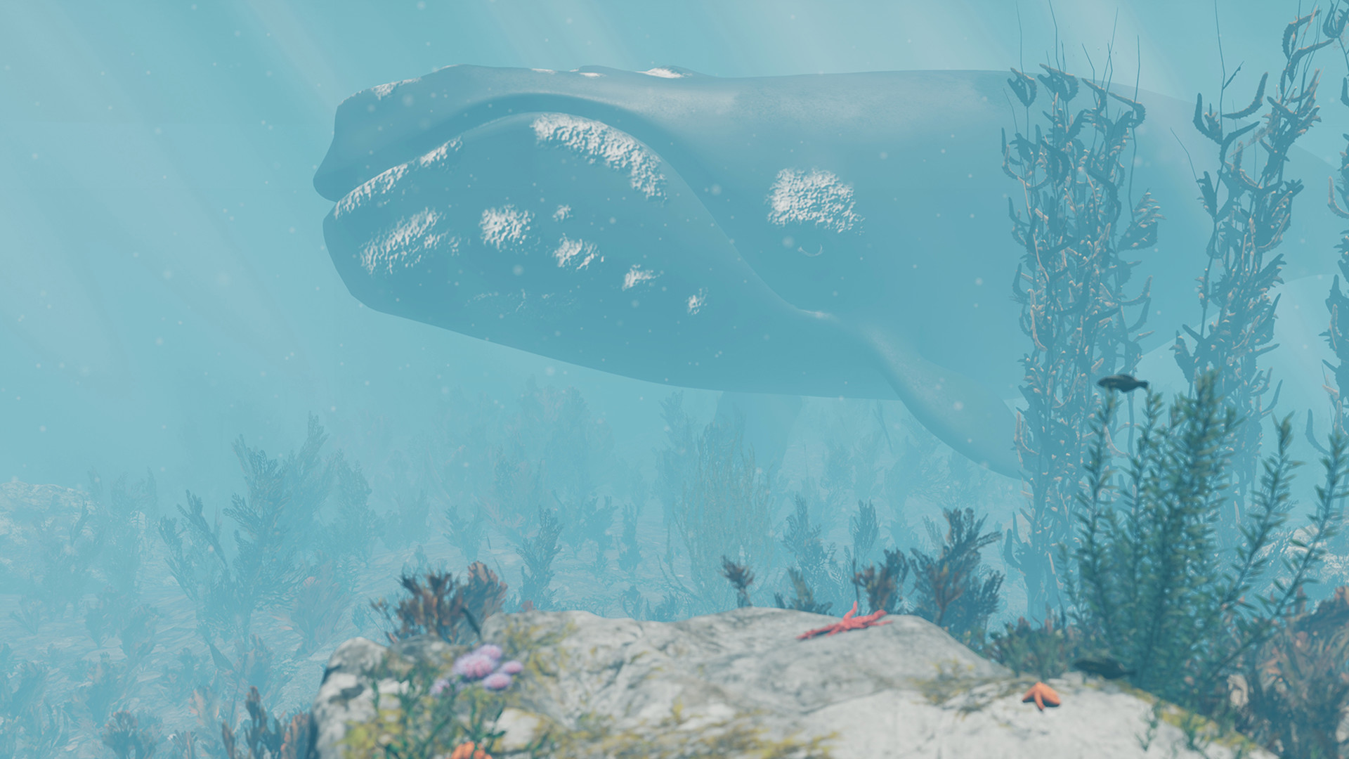 WellTown screenshot 2