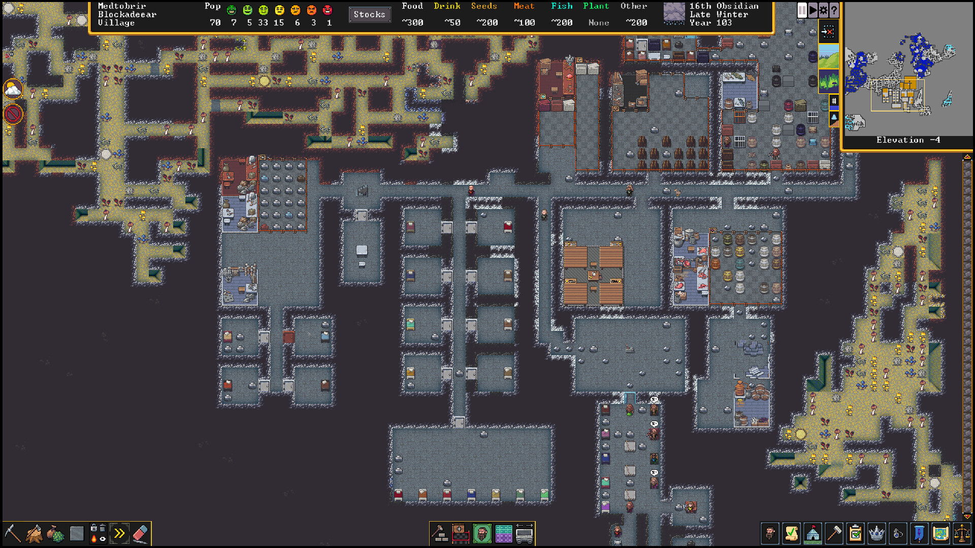 Dwarf Fortress screenshot 5