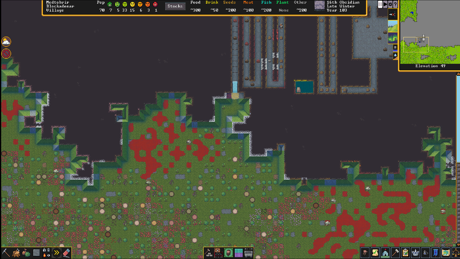 Dwarf Fortress screenshot 11
