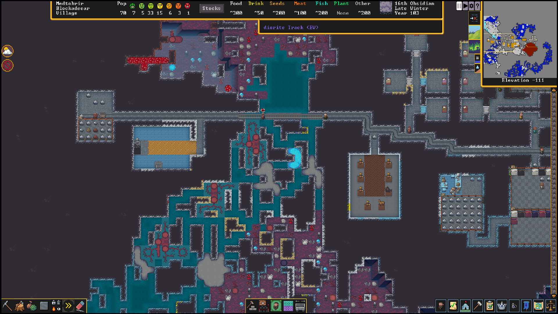 Dwarf Fortress screenshot 15