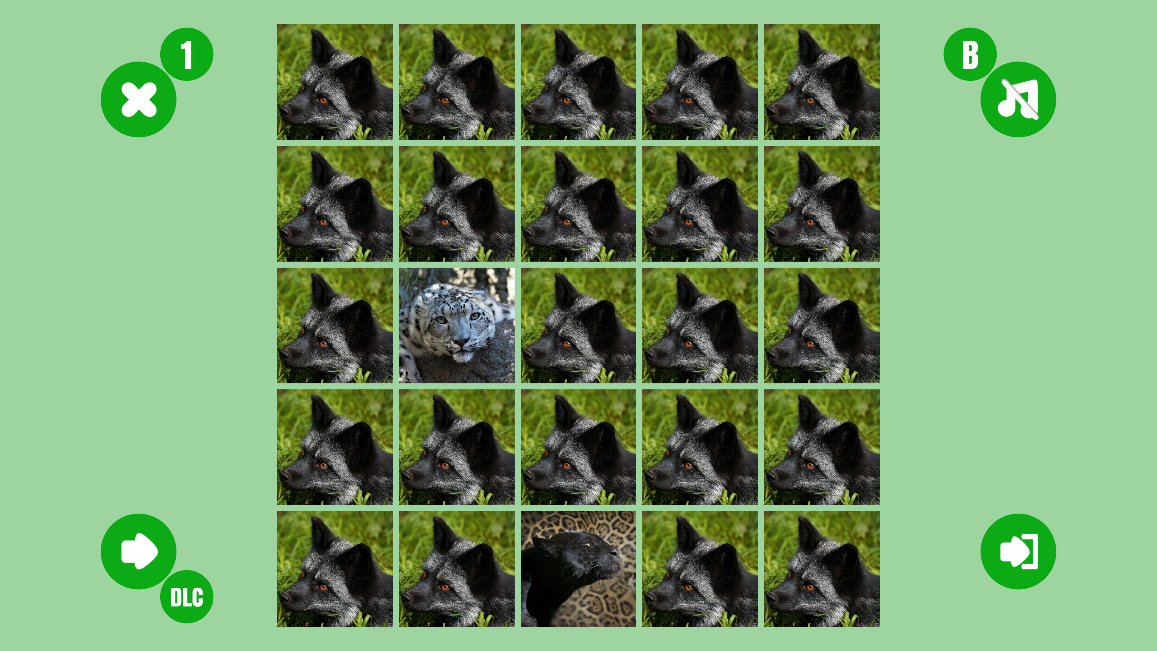 Turtle couple screenshot 5