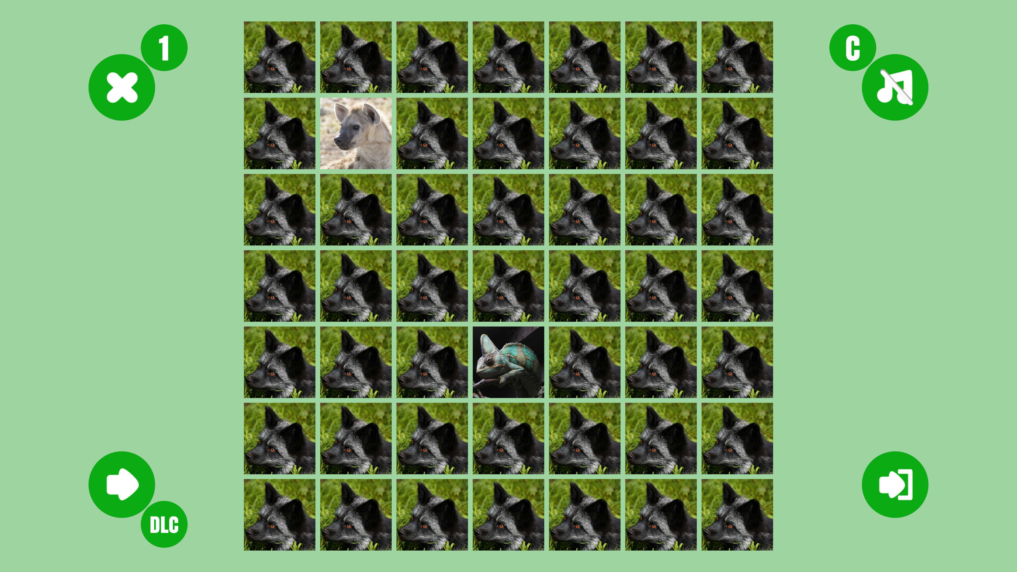 Turtle couple screenshot 1