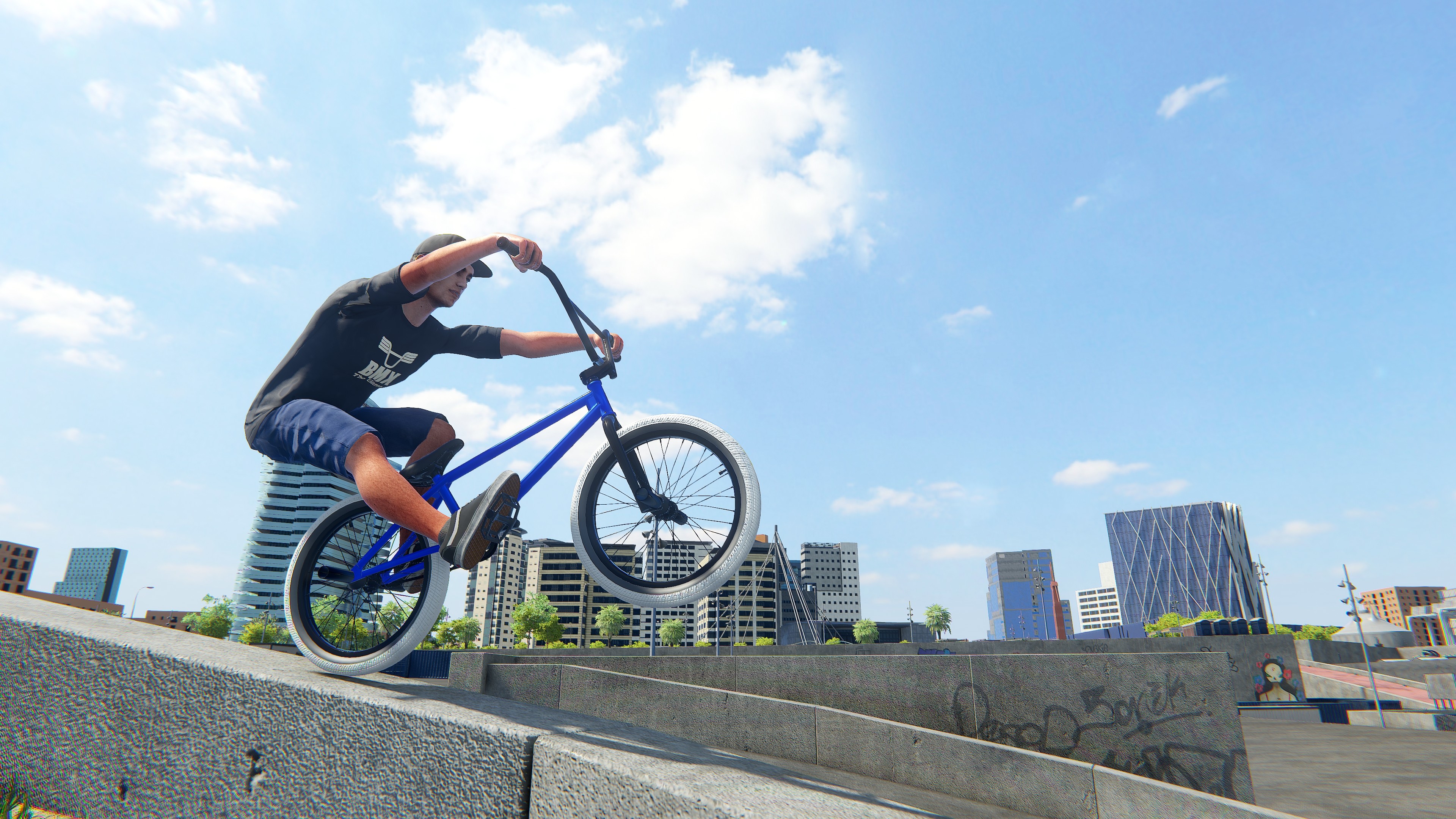 BMX The Game screenshot 8