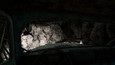 Screenshot #26
