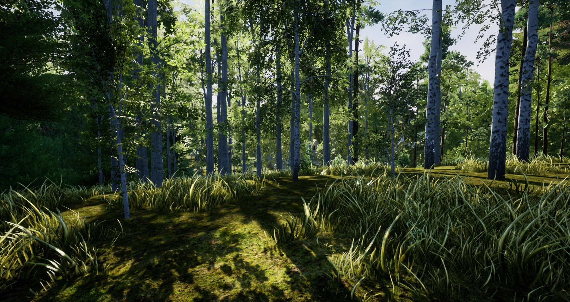 Nature Hunter screenshot 13