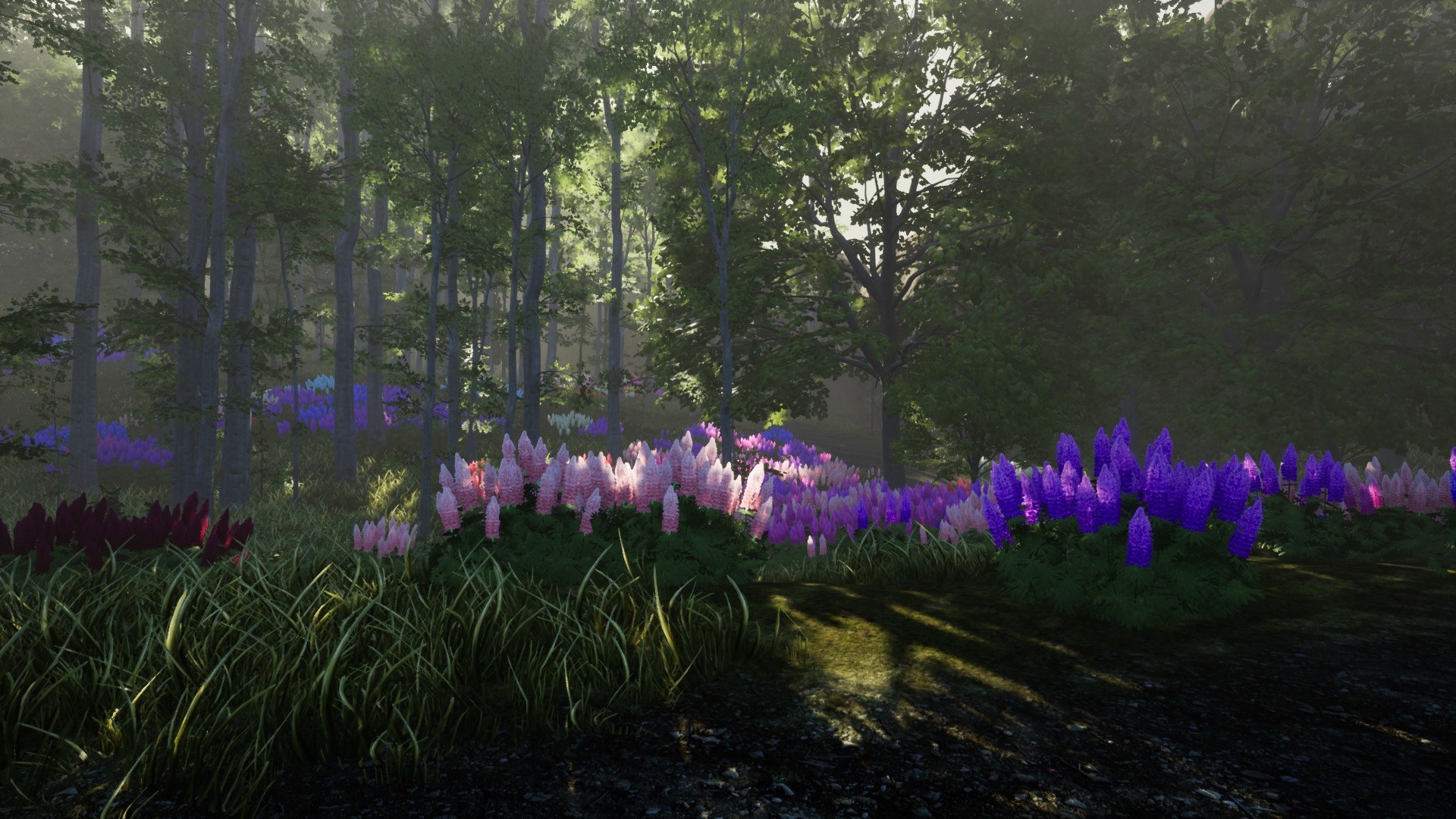 Nature Hunter screenshot 14