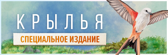 Wingspan Special Edition