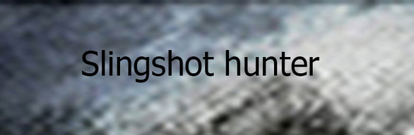 Shooting and chase