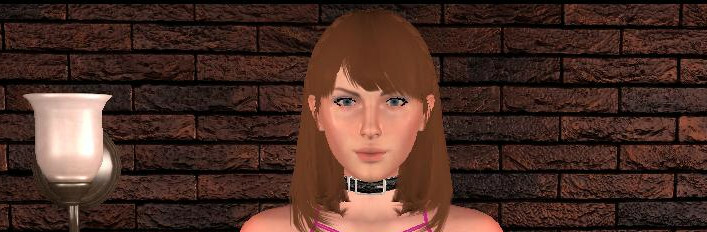 Titanium Armor shield