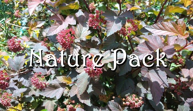 520b530b-49f9-95a7-ad80-8d87a9e38ca8