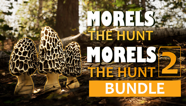 19aa8c2f-77fd-ffad-08eb-9bff709086ea