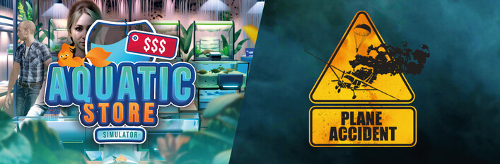 Plane Accident in Aquatic Store