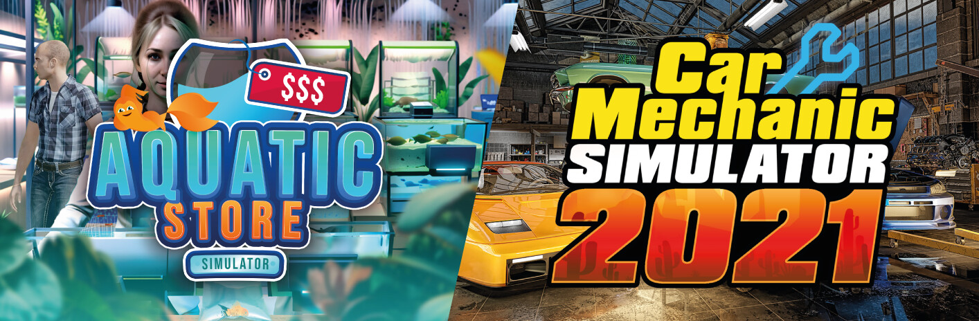 Car Mechanic in Aquatic Store