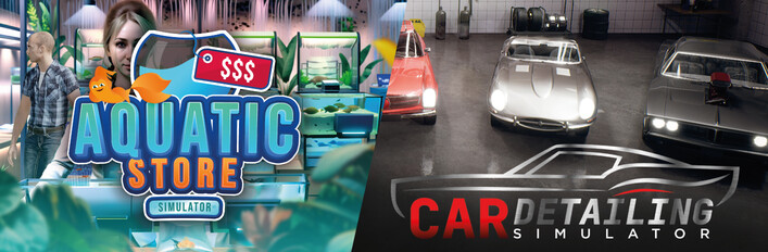 Car Detailing in Aquatic Store
