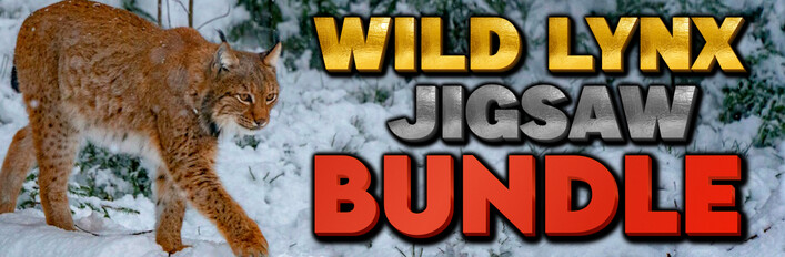 Wild Lynx Jigsaw Bundle