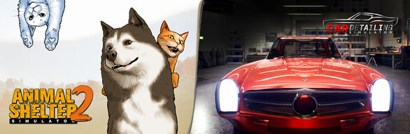 Animals in a Car