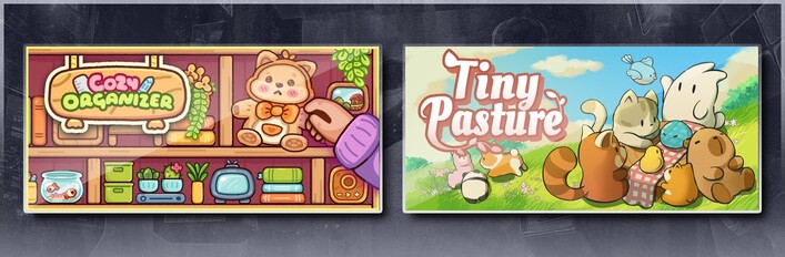 Cozy Organizer & Tiny Pasture